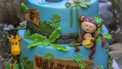 bij-okidoki hilversum bussum naarden kindertaarten dierentaart