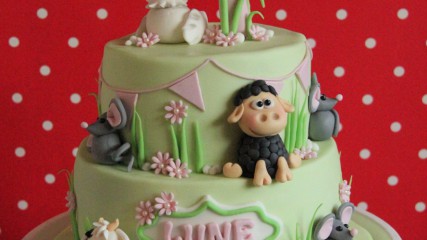 bij-okidoki hilversum kindertaarten-10