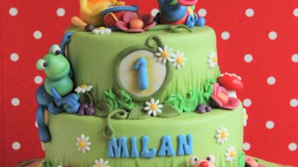 bij-okidoki hilversum kindertaarten-11