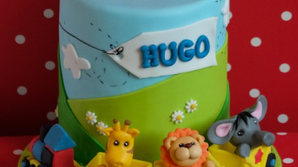 bij-okidoki-hilversum-kindertaarten-3